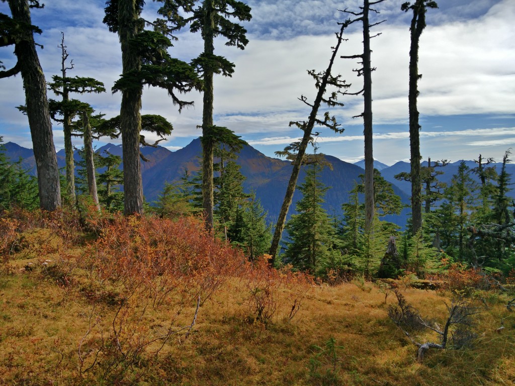 Harbour Mountain Sitka Wanderung