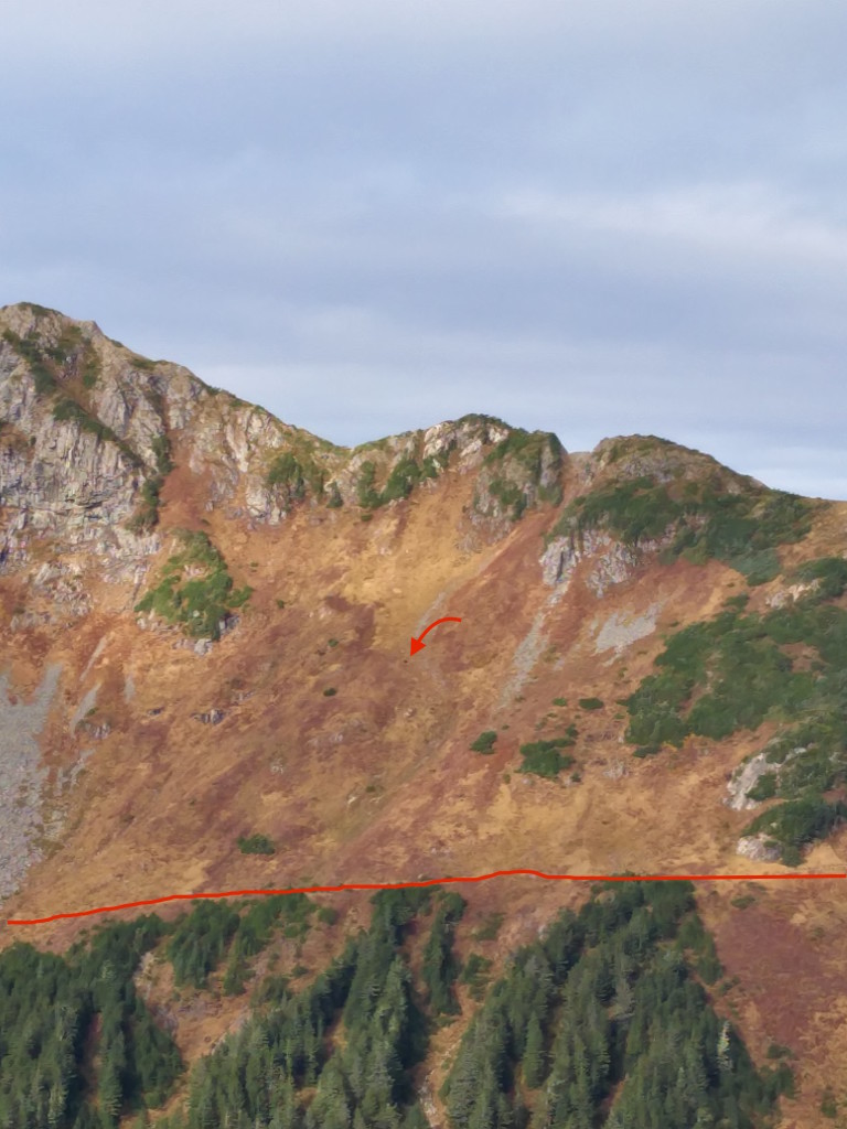 Harbour Mountain Sitka Wanderung