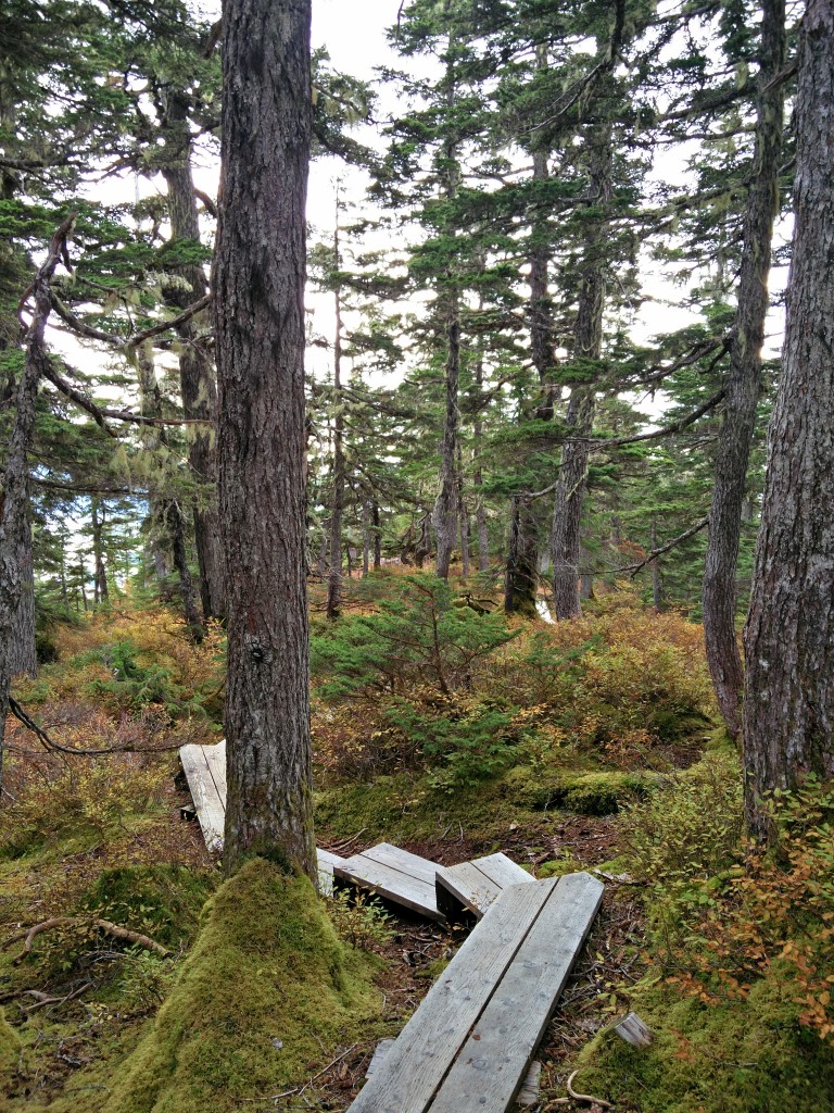 Harbour Mountain Sitka Wanderung
