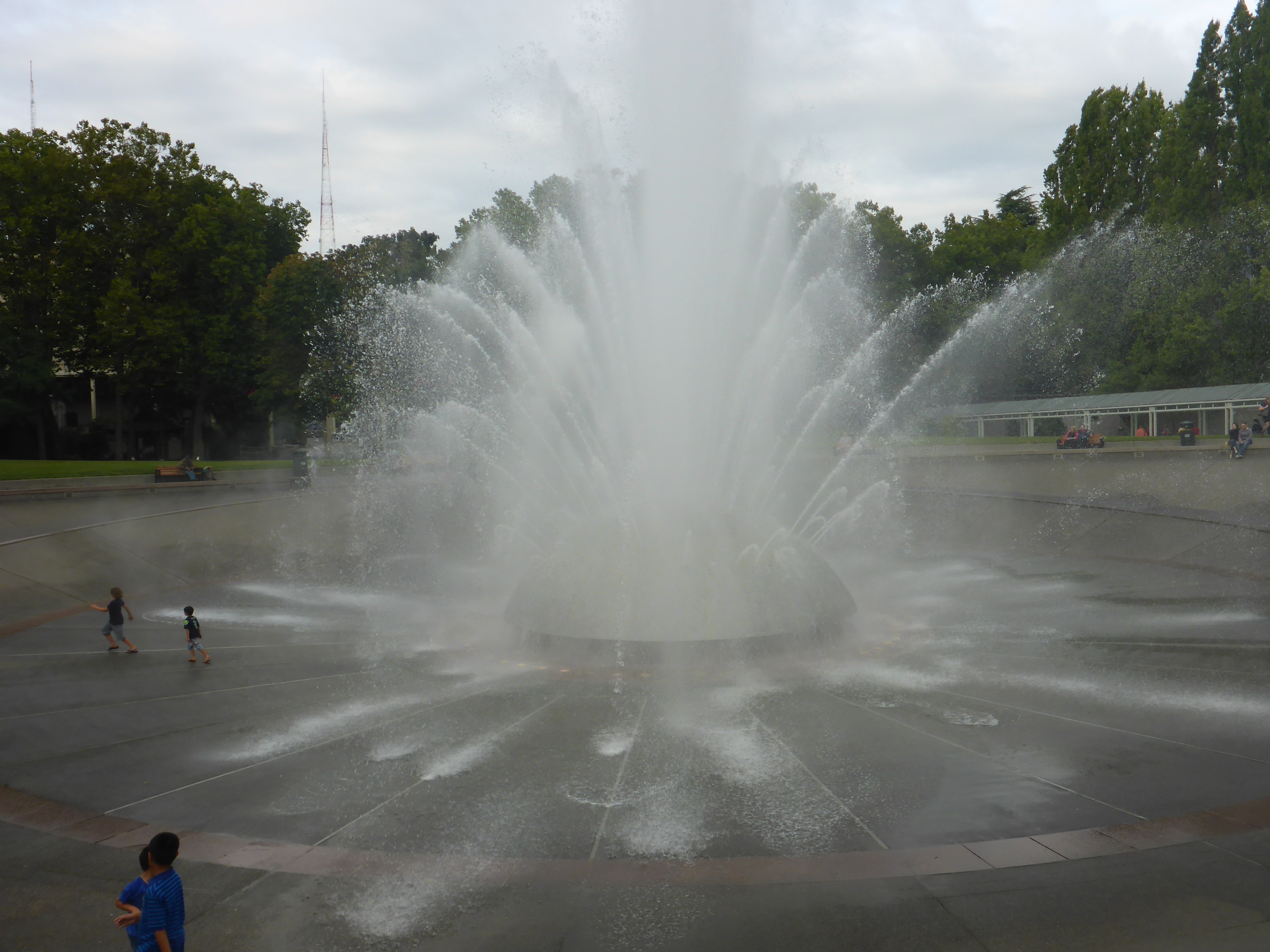 P1020678