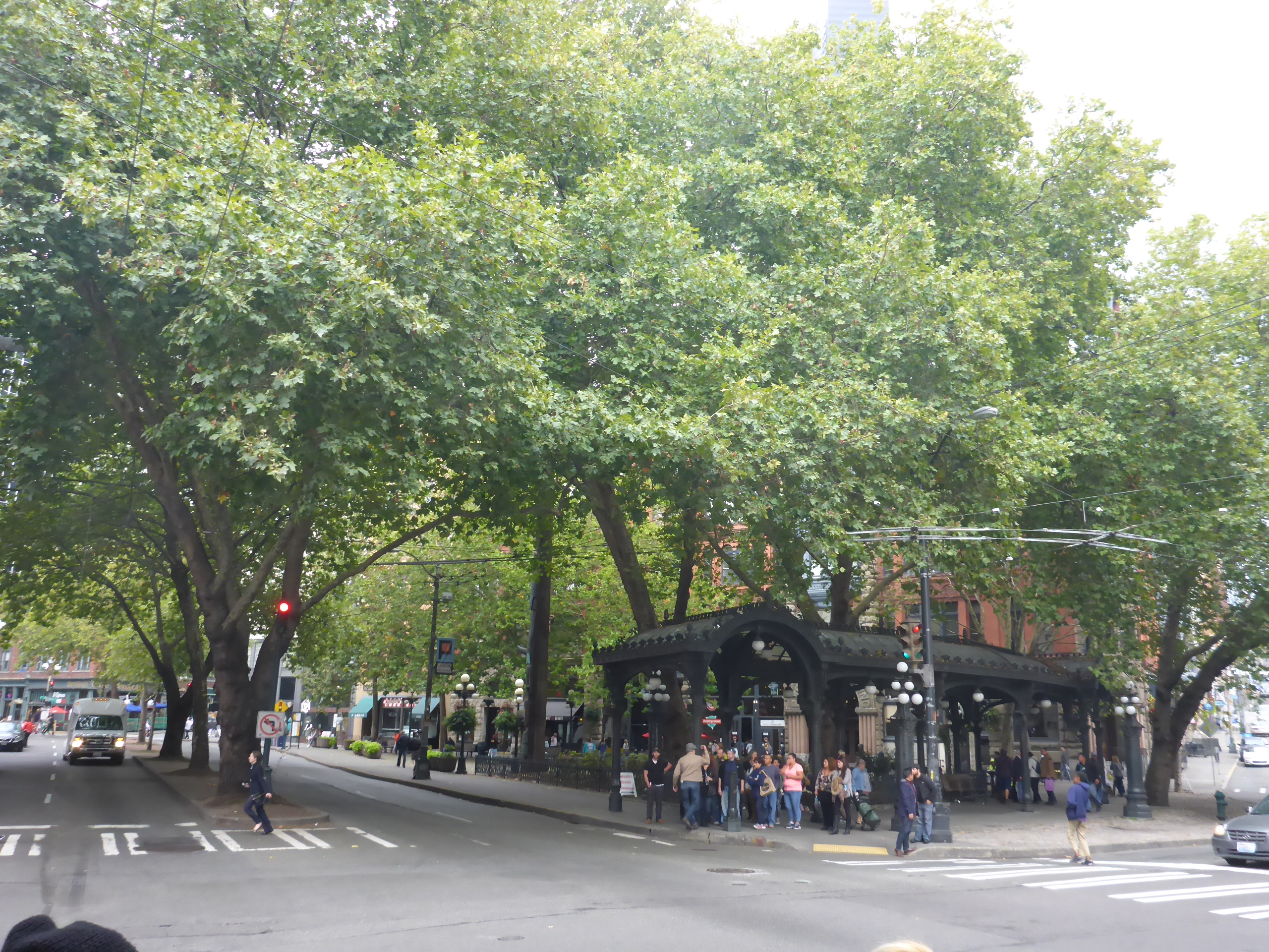 P1020776