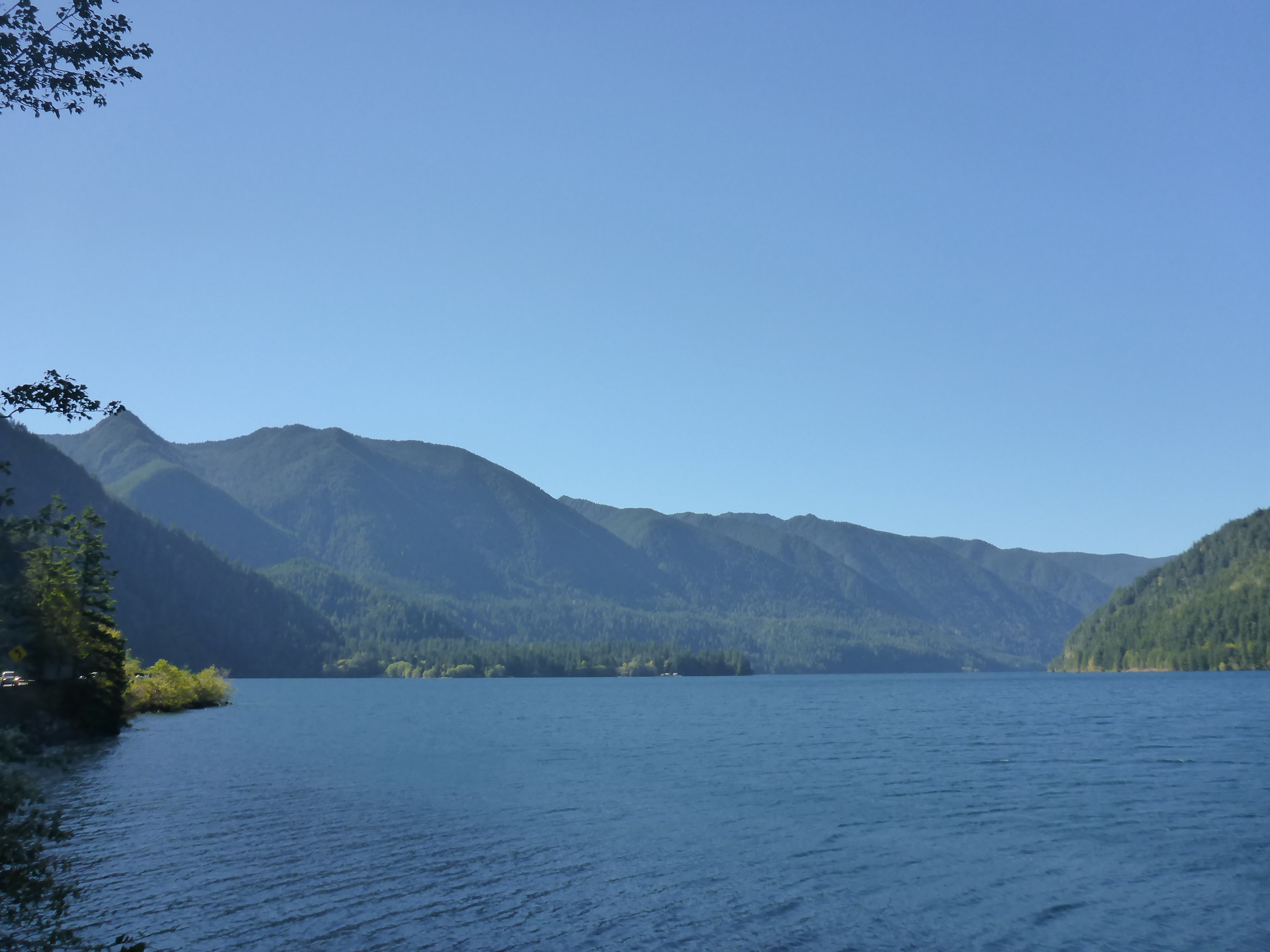 P1030352