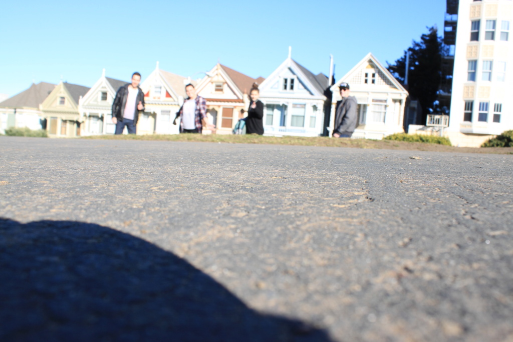 Painted Ladies