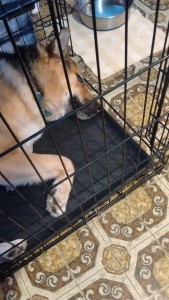IMG_20160121_162254684