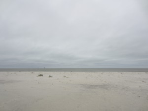 IMG_5146
