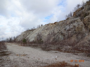 DSC00994