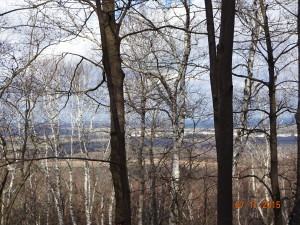 DSC01013