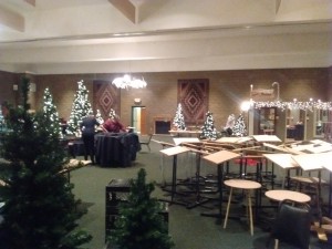 IMG_20151121_151306455