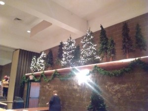 IMG_20151121_151310887