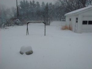 IMG_20160324_070955049