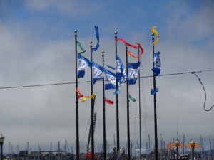 DSC02252