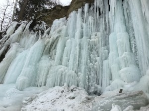 IMG_0187