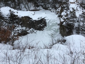 IMG_0228