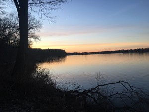 IMG_1302