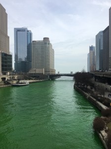 IMG_1339
