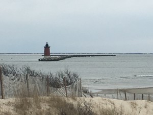 IMG_1534