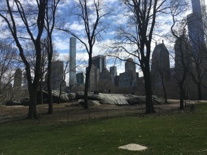 IMG_1601