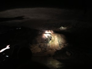 IMG_2037