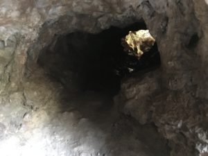 IMG_2293
