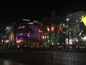 IMG_3458