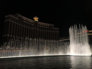 IMG_3466